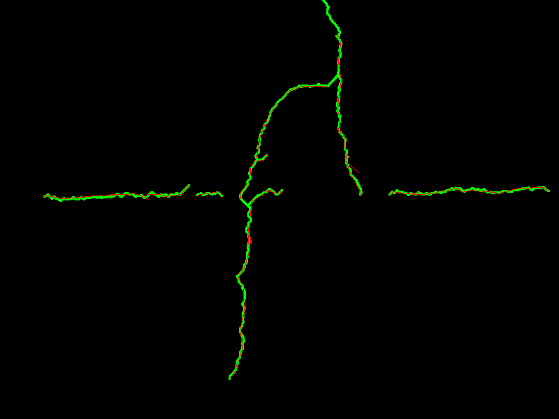 detection